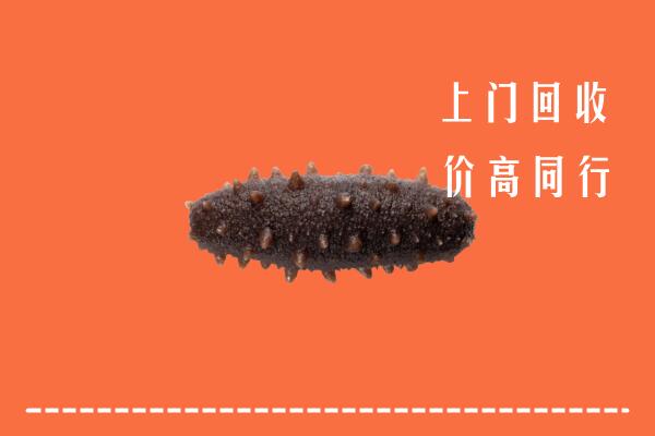 高价求购：菏泽市单县回收海参
