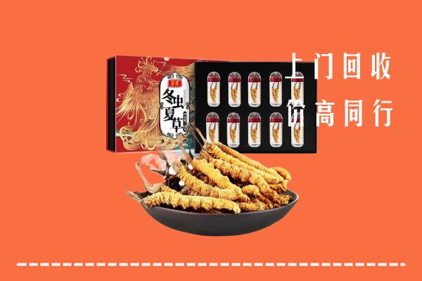 菏泽市单县回收虫草